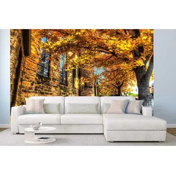 Fototapeta DIMEX | Samolepicí vliesová fototapeta na zeď Podzim ve městě MA-5-0631 | 375 x 250 cm | zelená, oranžová, šedá + Samolepicí vliesová fototapeta na stěnu DIMEX Podzim ve městě MA50631 v rozměru 375 x 250 cm