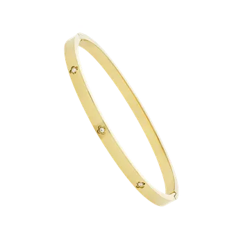 Náramek Náramek Steel JVD JGB17G