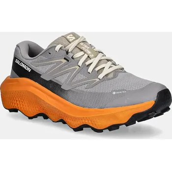 Oblečení a móda Boty Salomon ULTRA FLOW 2 GTX L47884200 šedá 09X, EUR 42