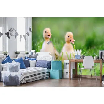 Fototapeta DIMEX | Samolepicí vliesová fototapeta na zeď Kachňátka v trávě MA-5-0473 | 375 x 250 cm | zelená, žlutá, oranžová + Samolepicí vliesová fototapeta na stěnu DIMEX Kachňátka v trávě MA50473 v rozměru 375 x 250 cm