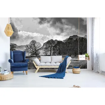 Fototapeta DIMEX | Samolepicí vliesová fototapeta na zeď Monochromatický venkov MA-5-1738 | 375 x 250 cm | bílá, černá + Samolepicí vliesová fototapeta na stěnu DIMEX Monochromatický venkov MA51738 v rozměru 375 x 250 cm