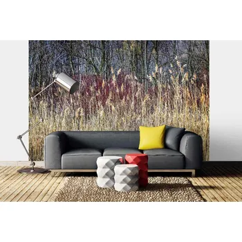 Fototapeta DIMEX | Samolepicí vliesová fototapeta na zeď Zimní rákosí MA-5-1716 | 375 x 250 cm | krémová, hnědá + Samolepicí vliesová fototapeta na stěnu DIMEX Zimní rákosí MA51716 v rozměru 375 x 250 cm