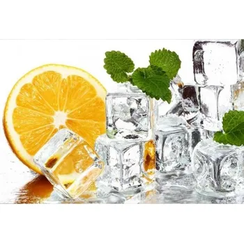 Fototapeta DIMEX | Samolepicí vliesová fototapeta na zeď Citrón a led MA-5-0238 | 375 x 250 cm | zelená, bílá, žlutá, šedá + Samolepicí vliesová fototapeta na stěnu DIMEX Citrón a led MA50238 v rozměru 375 x 250 cm