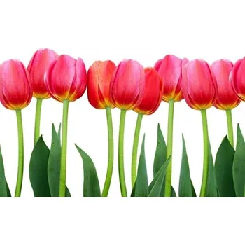 Fototapeta DIMEX | Samolepicí vliesová fototapeta na zeď Tulipány MA-5-0126 | 375 x 250 cm | zelená, červená, bílá + Samolepicí vliesová fototapeta na stěnu DIMEX Tulipány MA50126 v rozměru 375 x 250 cm