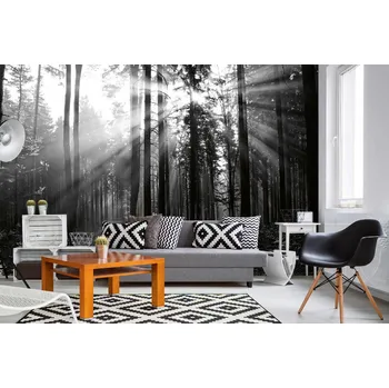 Fototapeta DIMEX | Samolepicí vliesová fototapeta na zeď Černobílý les MA-5-1904 | 375 x 250 cm | bílá, černá + Samolepicí vliesová fototapeta na stěnu DIMEX Černobílý les MA51904 v rozměru 375 x 250 cm