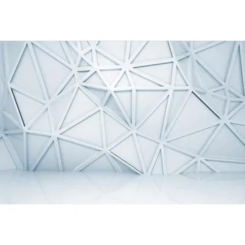 Fototapeta DIMEX | Samolepicí vliesová fototapeta na zeď 3D reliéf MA-5-0041 | 375 x 250 cm | bílá, šedá + Samolepicí vliesová fototapeta na stěnu DIMEX 3D reliéf MA50041 v rozměru 375 x 250 cm