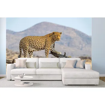 Fototapeta DIMEX | Samolepicí vliesová fototapeta na zeď Leopard v Dusternbrooku MA-5-0603 | 375 x 250 cm | černá, žlutá, hnědá + Samolepicí vliesová fototapeta na stěnu DIMEX Leopard v Dusternbrooku MA50603 v rozměru 375 x 250 cm