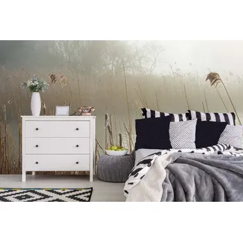 Fototapeta DIMEX | Samolepicí vliesová fototapeta na zeď Mlhavé pobřeží MA-5-1828 | 375 x 250 cm | hnědá, šedá + Samolepicí vliesová fototapeta na stěnu DIMEX Mlhavé pobřeží MA51828 v rozměru 375 x 250 cm