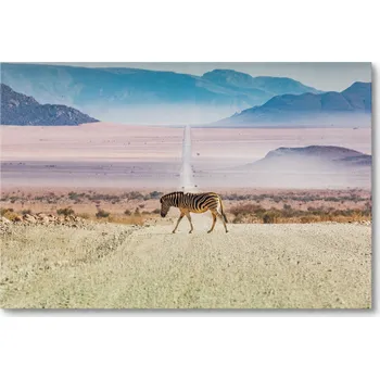 Obraz Obraz na plátně ZEBRA NA CESTĚ V NAMIBII AFRICE 60 x 40 cm