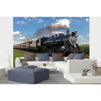 Fototapeta DIMEX | Samolepicí vliesová fototapeta na zeď Historický parní vlak MA-5-2898 | 375 x 250 cm | zelená, modrá, černá + Samolepicí vliesová fototapeta na stěnu DIMEX Historický parní vlak MA52898 v rozměru 375 x 250 cm