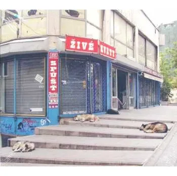 Zahraniční hudba CD Živé Kvety: Spúšť DIGI 2020 Digisleeve