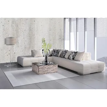 Fototapeta DIMEX | Samolepicí vliesová fototapeta na zeď Stará světlá betonová zeď MA-5-2640 | 375 x 250 cm | bílá, šedá + Samolepicí vliesová fototapeta na stěnu DIMEX Stará světlá betonová stěnu DIMEX MA52640 v rozměru 375 x 250 cm