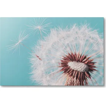 Obraz Obraz na plátně PAMPELIŠKA UNÁŠENÁ VĚTREM 40 x 30 cm