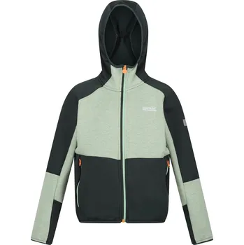 Dívčí mikina Regatta DrkstSpr 1153149 7-8Y