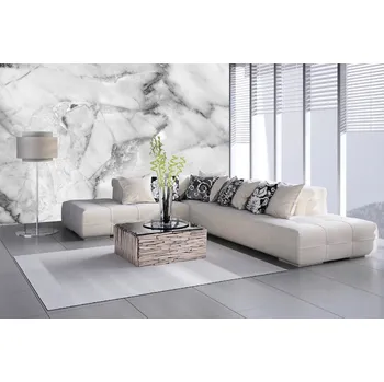 Fototapeta DIMEX | Samolepicí vliesová fototapeta na zeď Světlý mramor MA-5-2489 | 375 x 250 cm | bílá, šedá + Samolepicí vliesová fototapeta na stěnu DIMEX Světlý mramor MA52489 v rozměru 375 x 250 cm