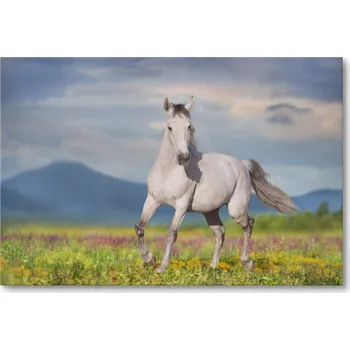 Obraz Obraz na plátně KŮŇ NA LOUCE S HORSKÝM POZADÍM 60 x 40 cm