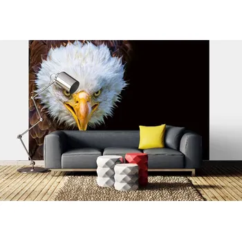 Fototapeta DIMEX | Samolepicí vliesová fototapeta na zeď Americký orel MA-5-2956 | 375 x 250 cm | bílá, černá, hnědá + Samolepicí vliesová fototapeta na stěnu DIMEX Americký orel MA52956 v rozměru 375 x 250 cm