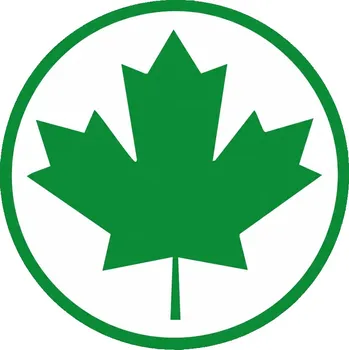 Samolepicí dekorace na vozidlo Nálepka zielony listek na auto pro začínající řidiče