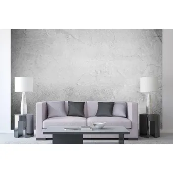 Fototapeta DIMEX | Samolepicí vliesová fototapeta na zeď Světlá betonová stěrka MA-5-2650 | 375 x 250 cm | šedá + Samolepicí vliesová fototapeta na stěnu DIMEX Světlá betonová stěrka MA52650 v rozměru 375 x 250 cm