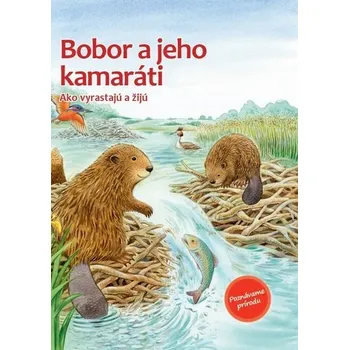 Bystrá hlava Bobor a jeho kamaráti - Friederun Reichenstetter