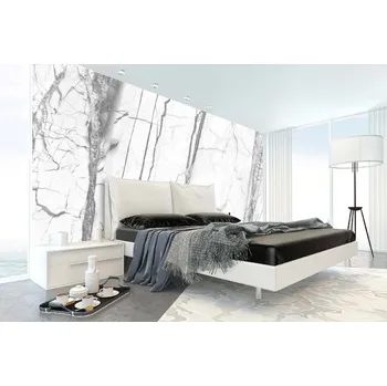 Fototapeta DIMEX | Samolepicí vliesová fototapeta na zeď Bílý mramorový vzor MA-5-2487 | 375 x 250 cm | bílá, šedá + Samolepicí vliesová fototapeta na stěnu DIMEX Bílý mramorový vzor MA52487 v rozměru 375 x 250 cm