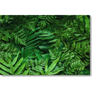 Obraz Obraz na plátně MONSTERA A PALMA NA TMAVÉM POZADÍ 40 x 30 cm