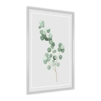 Obraz Plakát v rámu Jemné eukalyptové listy Rám A