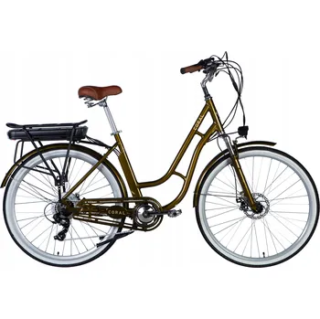 Elektrokolo Elektrokolo (do 250 W) Dorozhnik CORAL DD s volnoběžkou, rám 19 palců hliníkový, kolo 28", zelené, 250 W