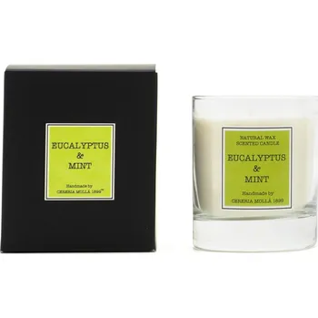 Svíčka CERERIA MOLLA SANTIAGO EUCALYPTUS A MÁTA sójová vonná svíčka ve skle 230 g