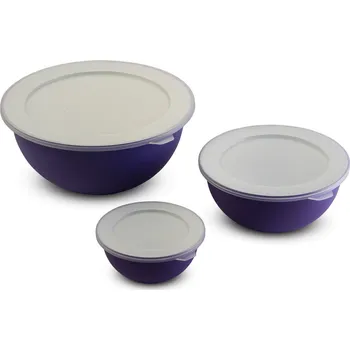 Plastové kuchyňské misky s víčkem OMADA SANALIVING fialové 3 szt.
