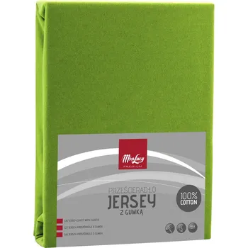 Prostěradlo Jersey prostěradlo s gumou MISS LUCY KAKTUS ZELENÉ 180 x 200 cm