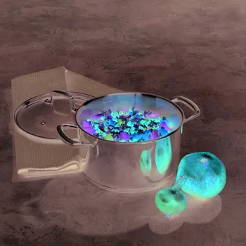 Nádobí KELA Flavoria 3,2 l - nerezový hrnec s pokličkou