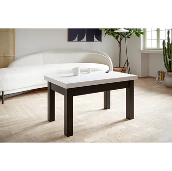 Konferenční stolek Konferenční stolek Classic 100x60 cm Bílá Černá