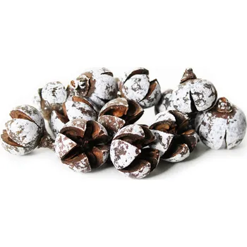 Vánoční dekorace Dekorační sušené plody eucalypt bílé