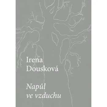 Poezie Napůl ve vzduchu (Irena Dousková, 2016)