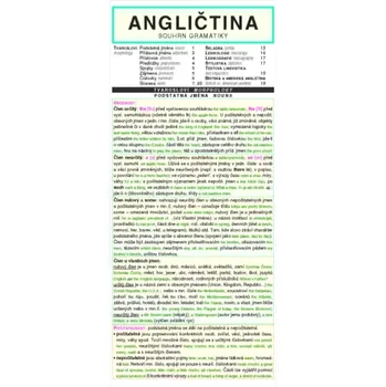 Český jazyk Angličtina (Miloslav Holman, 2008)