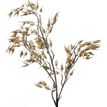 Oves 83cm naturální