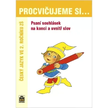 Encyklopedie Psaní souhlásek na konci a uvnitř slov (, 2004)