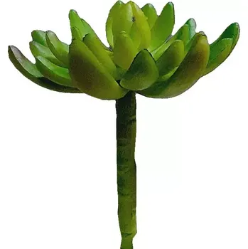 Tlustice 12 cm zelená