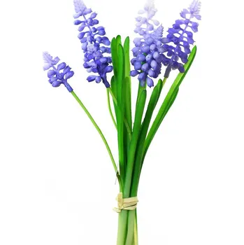 Modřenec 23cm svazek