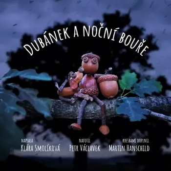 Dubánek a noční bouře (Klára Smolíková, 2023)