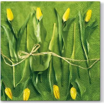 Papírový ubrousek Dekorační papírové ubrousky PAW FRESH TULIPS GREEN 20 ks.