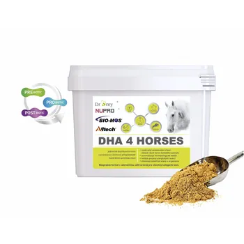 Dromy DHA 4 Horses