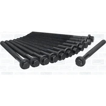 Spojovací materiál motoru Sada šroubů hlavy válce AJUSA 81019800