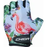 Chiba Cool Kids SF blue/plameňák