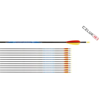 Avalon Carbon Classic 4.2 New - 12ks (Sada 12 šípů Avalon Carbon Classic New ID4.2)