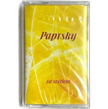 Relaxační hudba Paprsky za světlem (Kazeta)