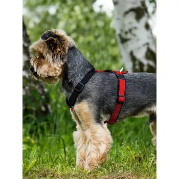 Postroj pro psa Postroj MINI - na zakázku