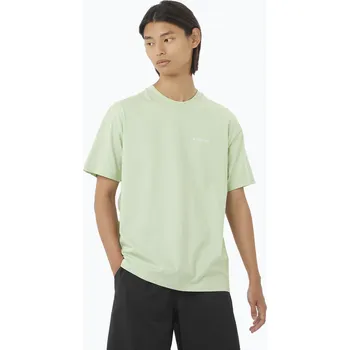 Pánské tričko Pánské tričko Salomon Logo RX Tee sea foam