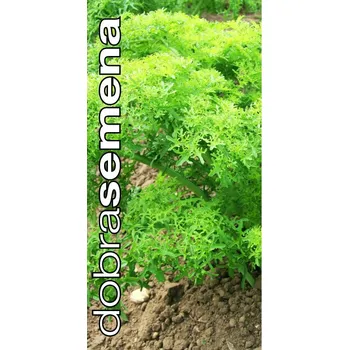 Pěstitelství DOBRÁ SEMENA BIO GOLDEN FRILLS 2 G, EXP. 12/2025